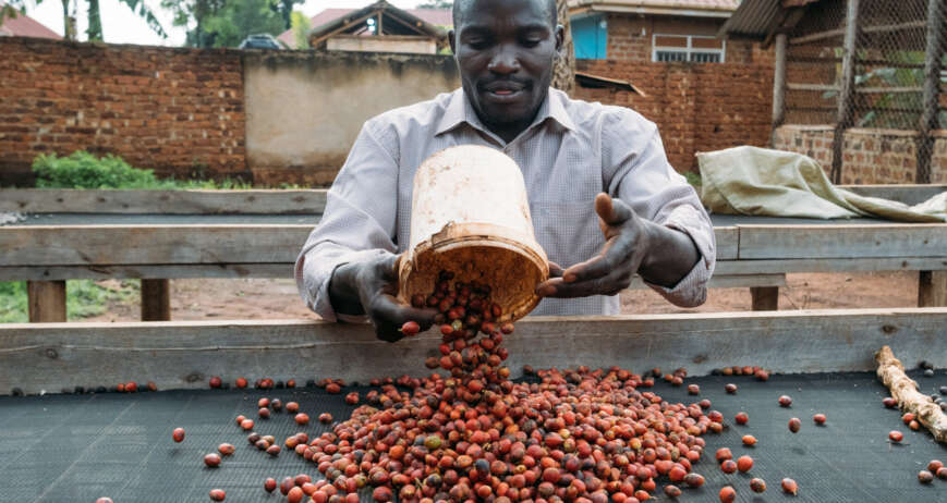 Dedicated farmers working together to bring fresh, high-quality produce from field to table.
