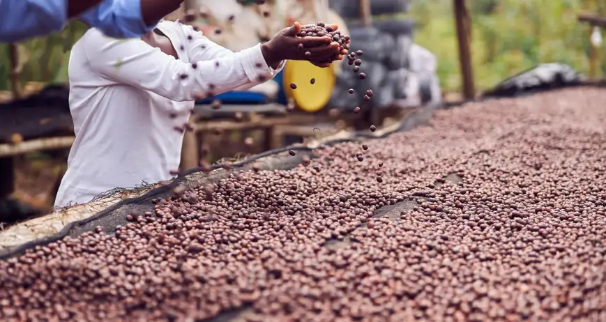 Innovative farming under the golden sunrise, advancing modern agriculture with care.