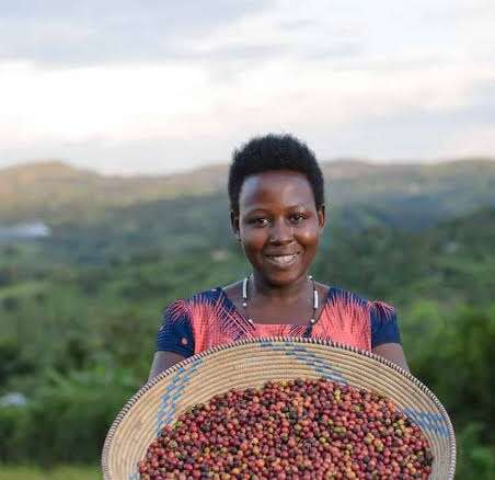 High-elevation lots from Ruvuma. 15-20 micro-lots per year, 86+ SCA scores.
