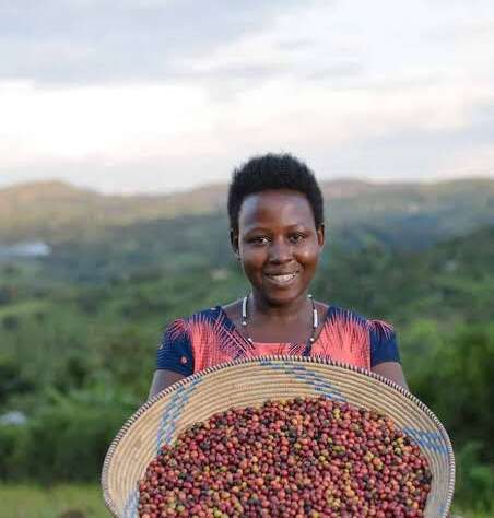 High-elevation lots from Ruvuma. 15-20 micro-lots per year, 86+ SCA scores.