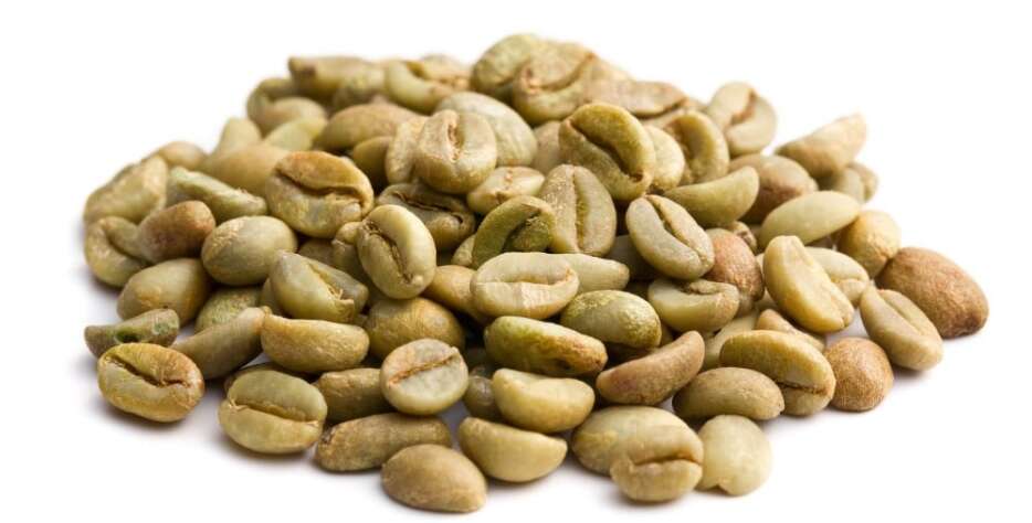 Our largest sourcing base. 500-700MT annually of washed & natural Robusta + Hard Bean Arabica from Bukoba, Karagwe, and Muleba.
